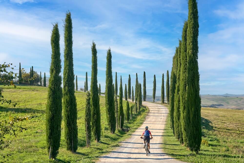 person riding a bile through tall trees in Tuscany