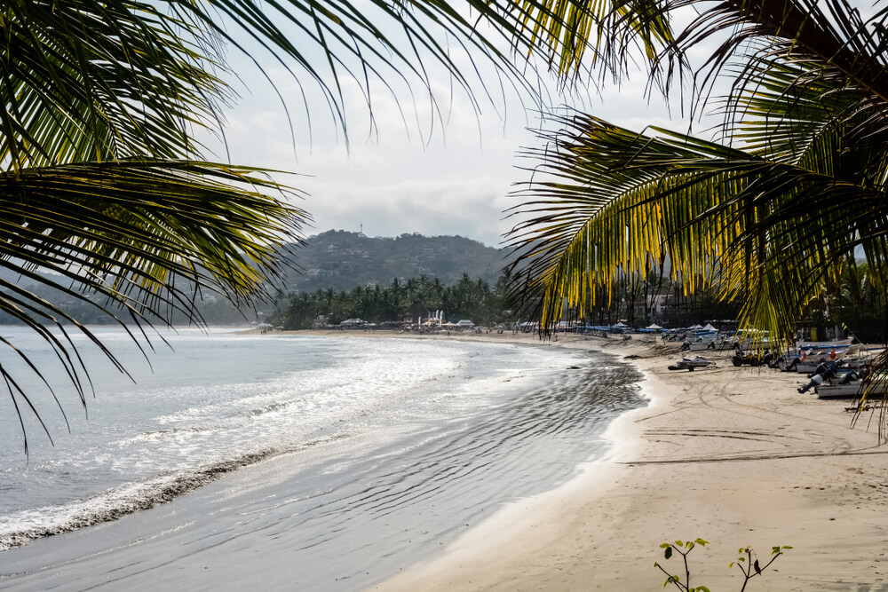 view of playa Sayulita between palm trees