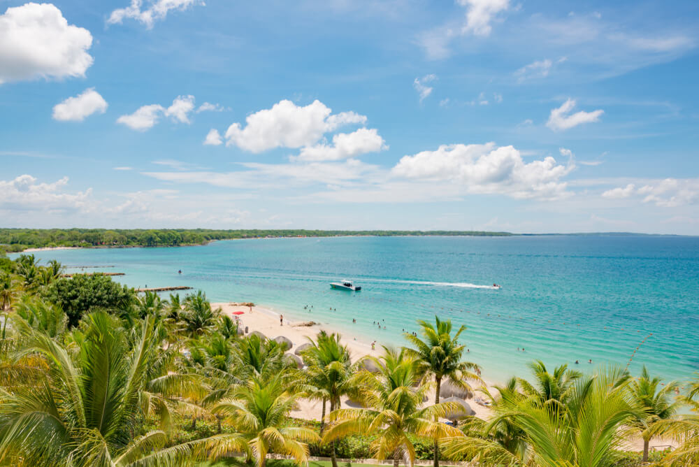 palms and shoreline of Playa Blanca, Colombia