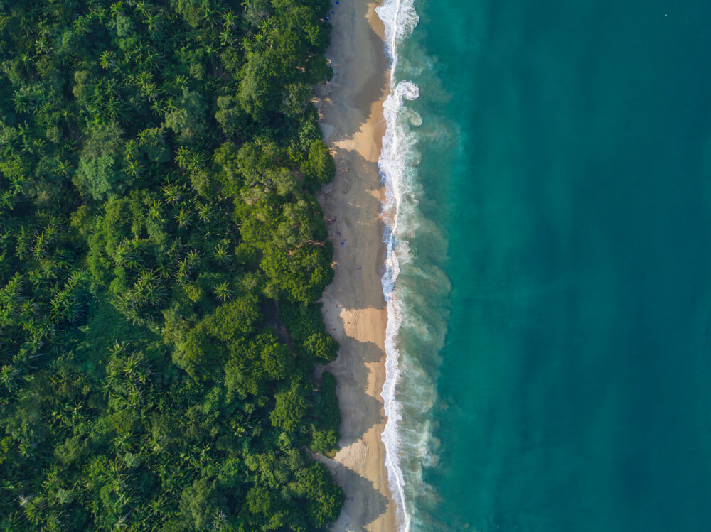 drone view of Playa Malpaso, Mexico