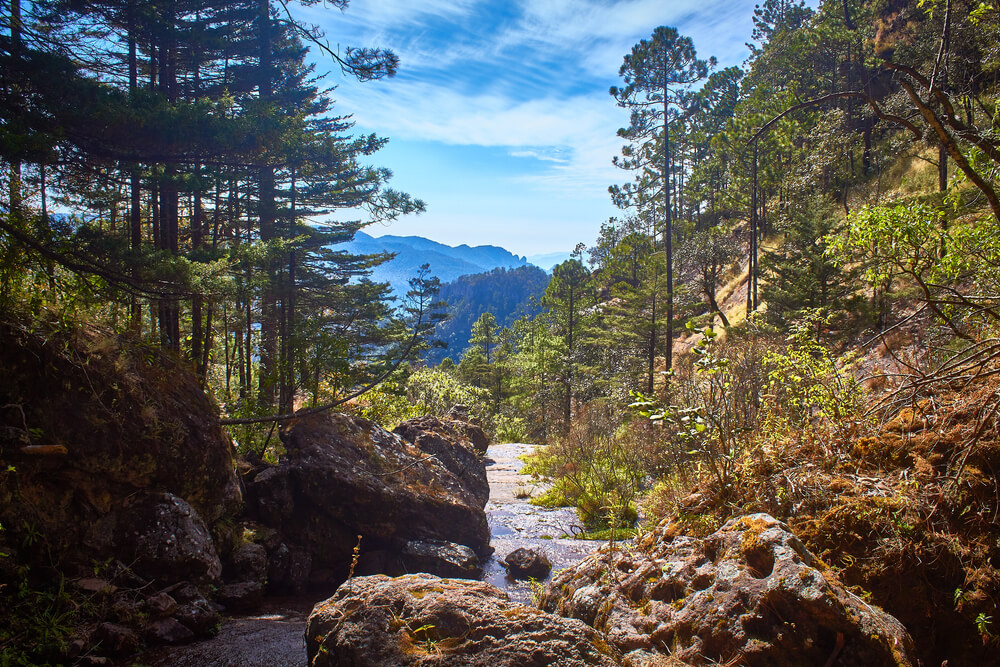 hiking near Playa Malpaso