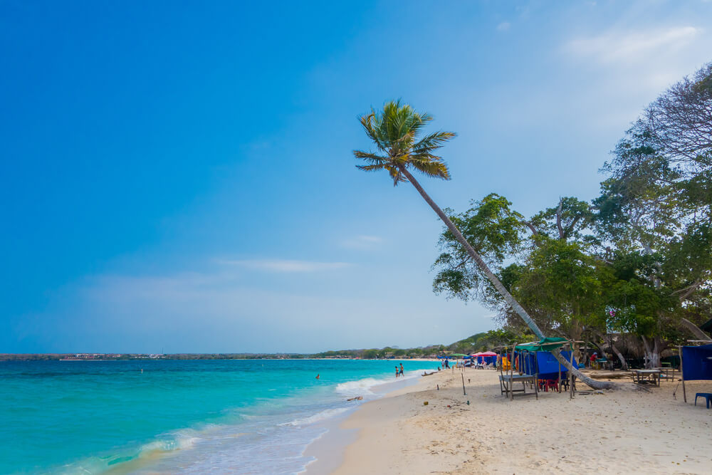 leaning palm and sandy shore of Playa Blanca, Colombia