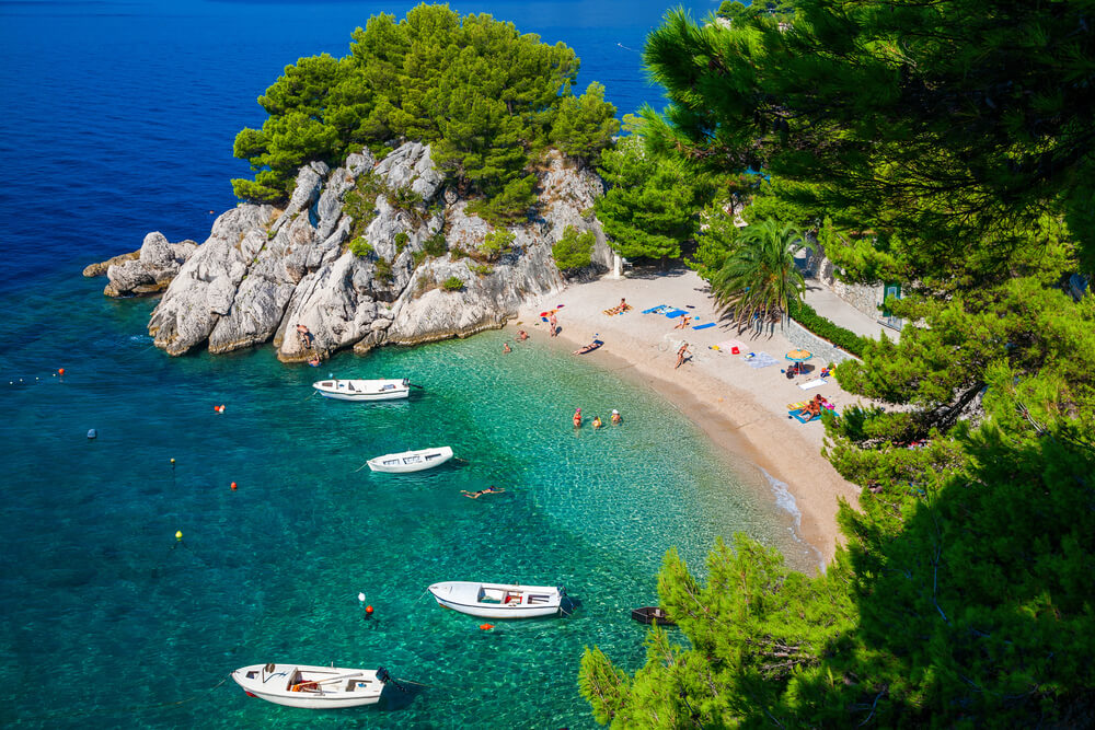 Croatian beach framed by pines