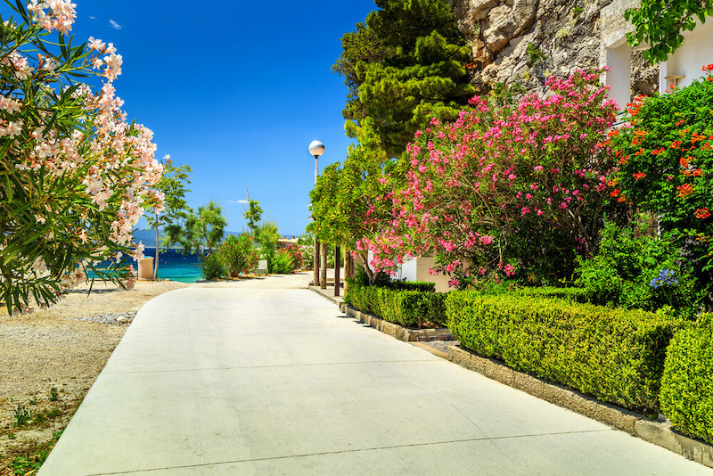 boardwalk along a beach