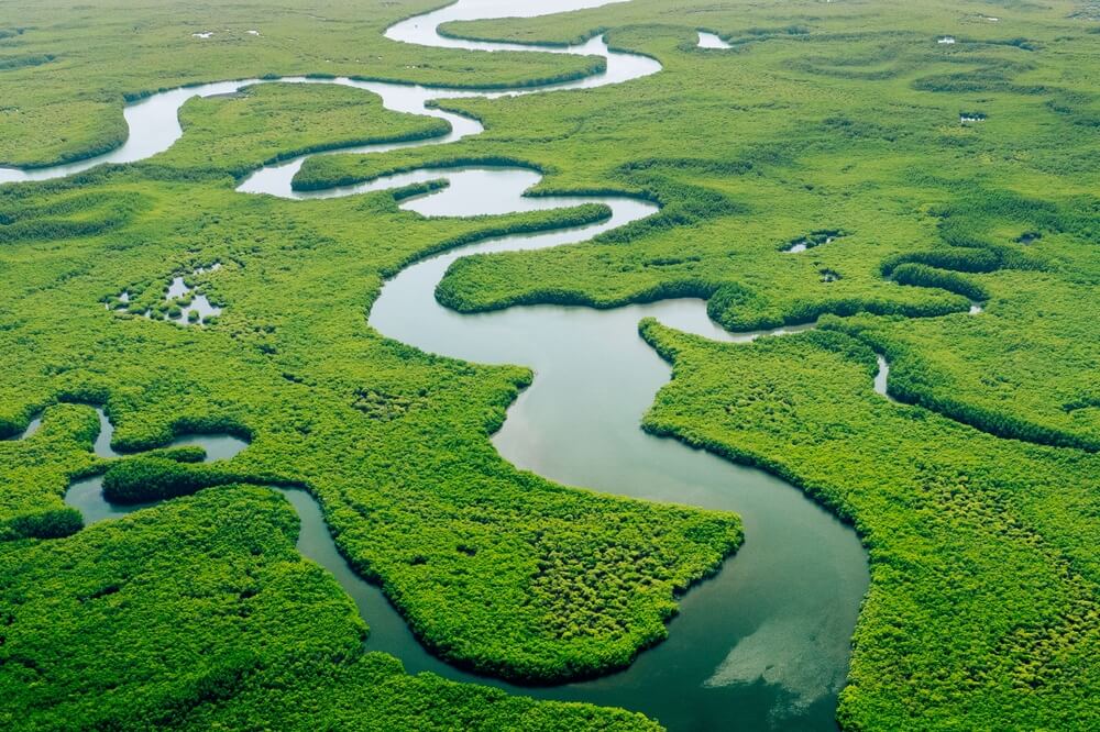 aerial of the Amazon river winding through the jungle