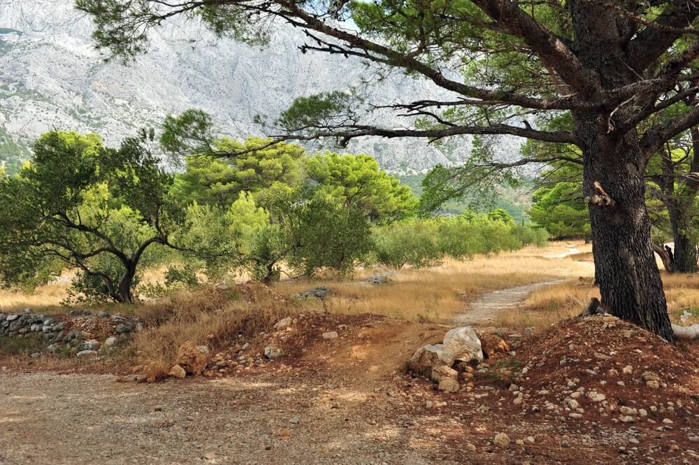 hiking trails near Brela Beach Croatia