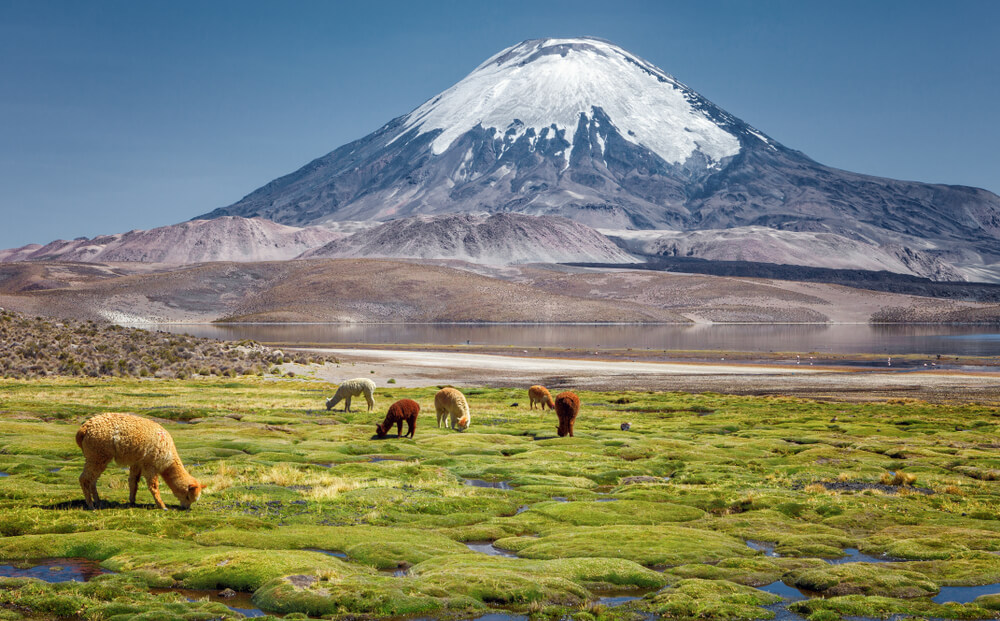 landscape near the border of Chile and Peru