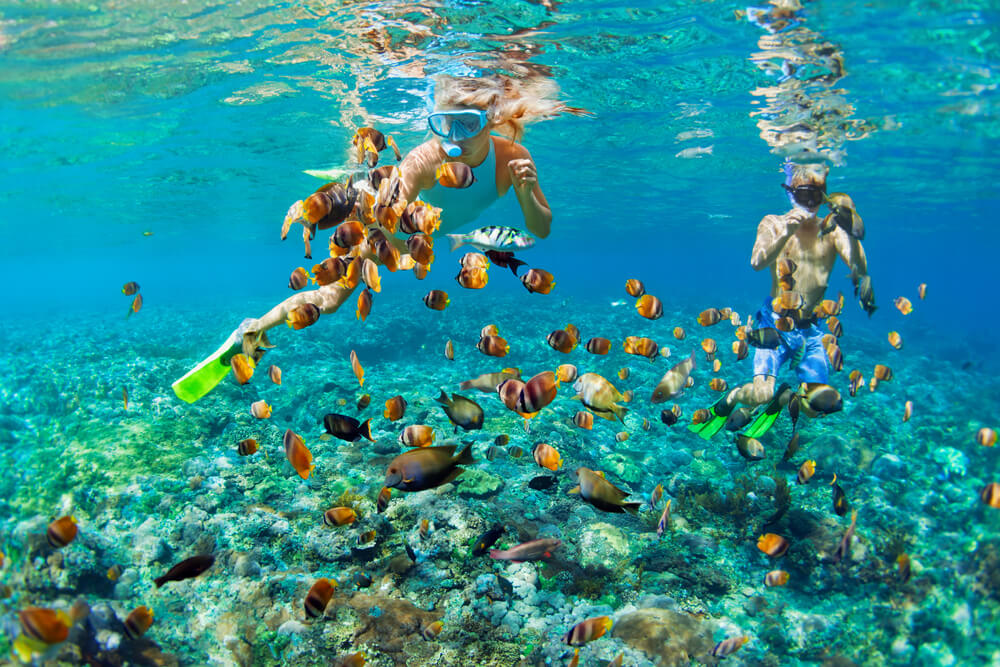 How To Plan The Perfect Trip To Patong Beach Thailand Bookaway