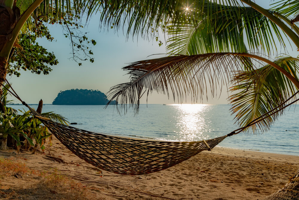 hammock in the trees over the beach in Thailand 