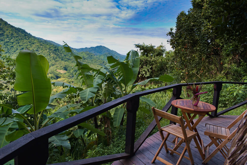 coffee plantation in Colombia