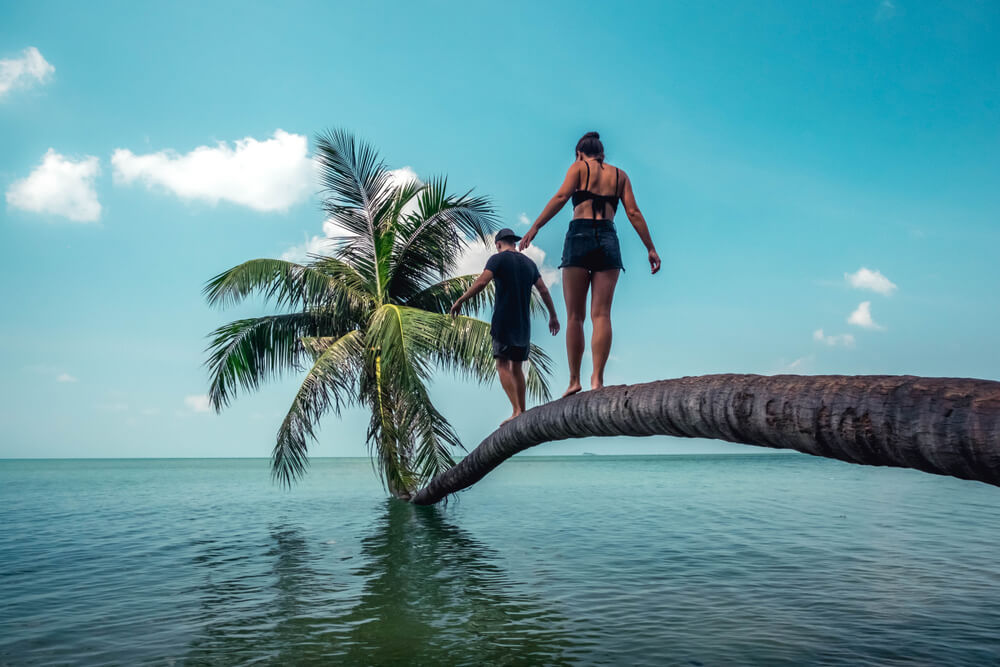 couple walking on a palm tree over the ocean