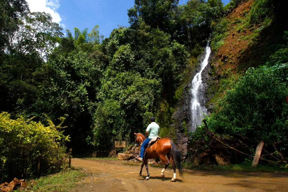 man on a horse in Jardin Colombia a small city