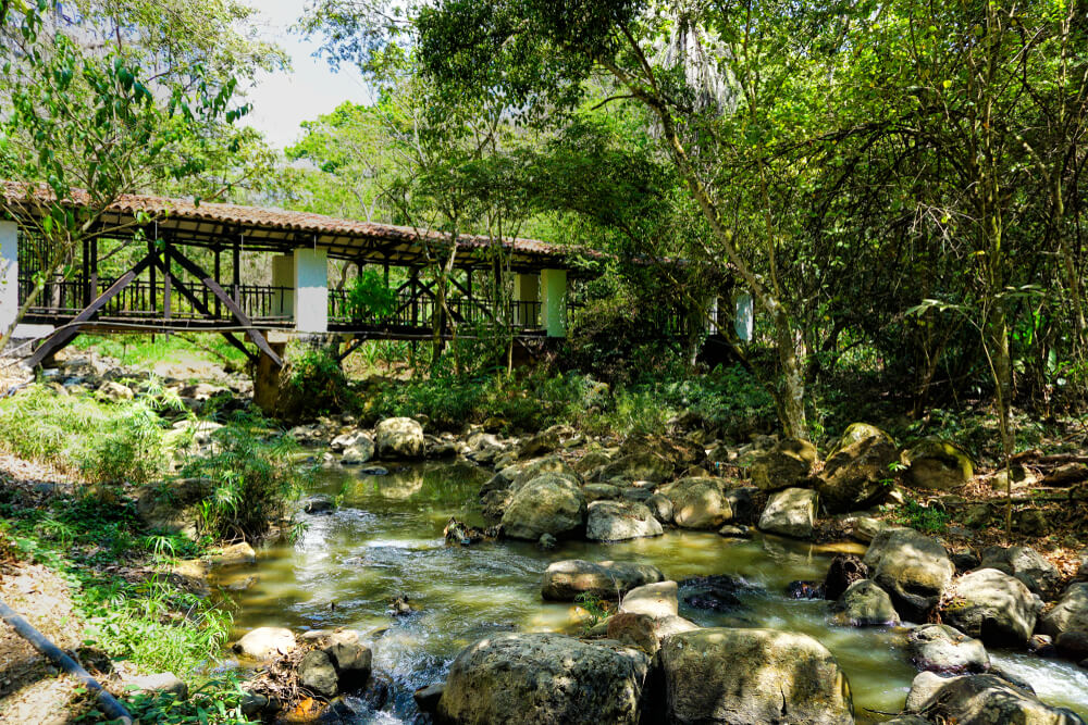 rainforest in San Gil Colombia