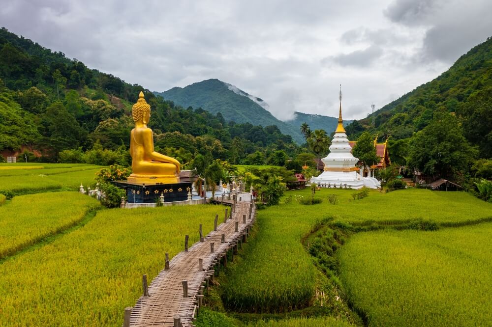 rice paddies and temples in northern Thailand