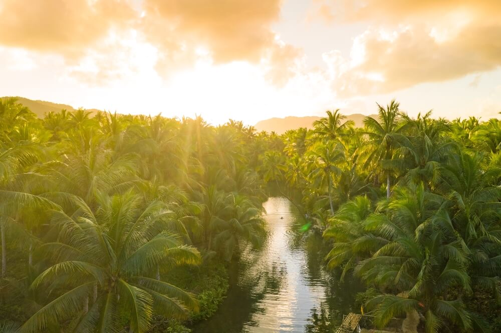 sunset over the amazon ranforest