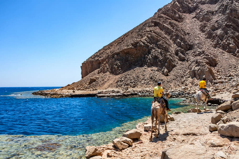 Camel riding along the beach in Egypt