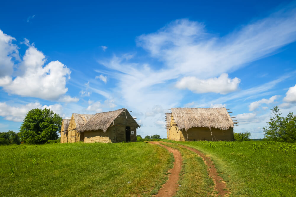 fields in Slavonia Croatia