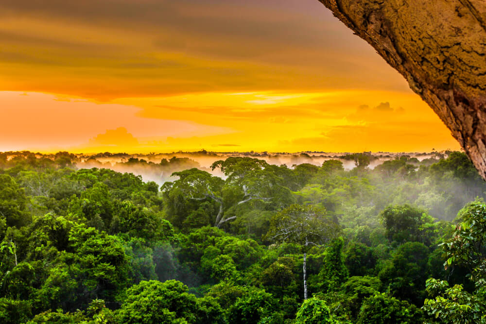 sunset over the Amazon