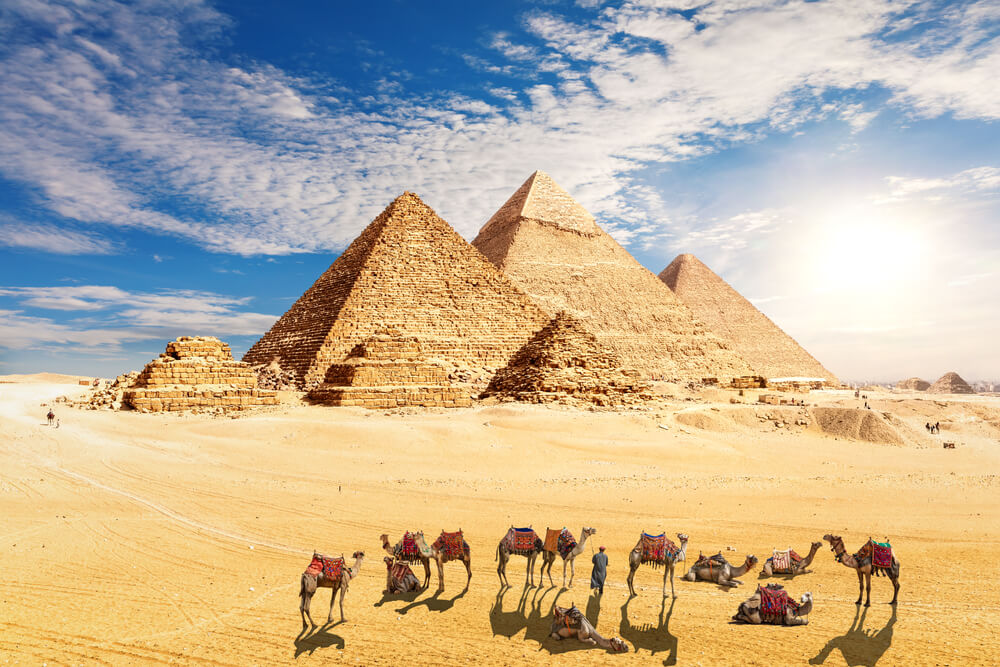 camels in front of the Pyramids of Giza near Cairo