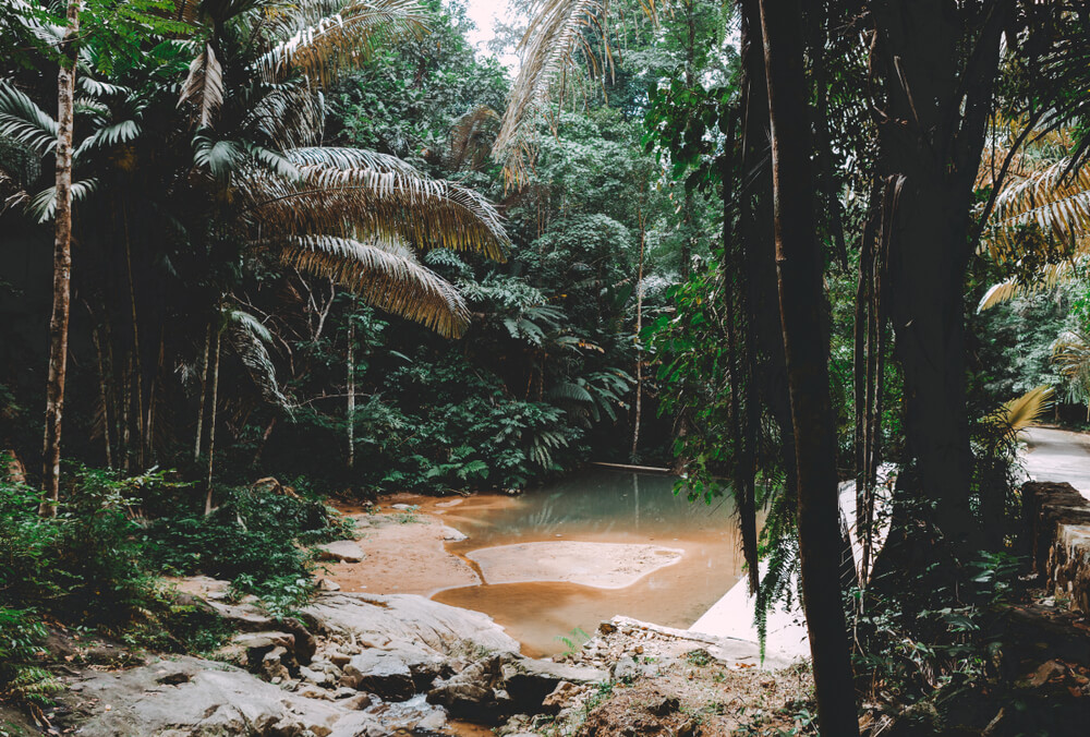 muddy running trail in Phuket
