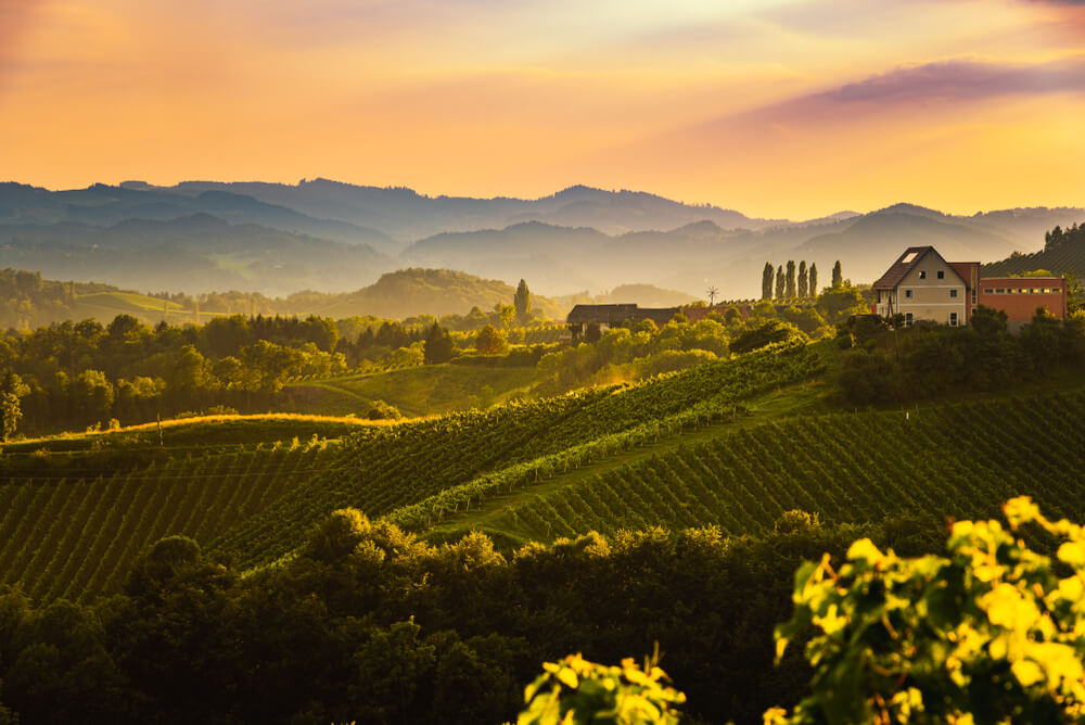 rolling hills and vineyards in Tuscany