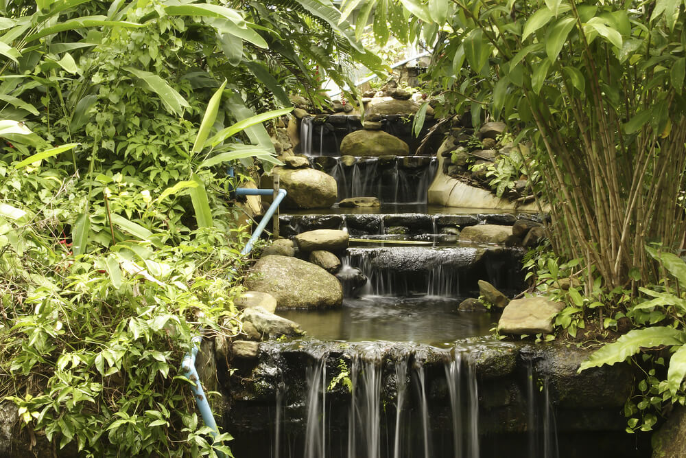 waterfall running trail in Phuket