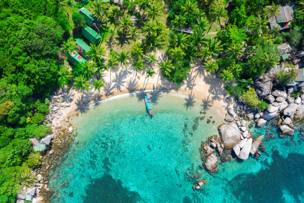 aerial view of boat and palms on the coast of Koh Tao