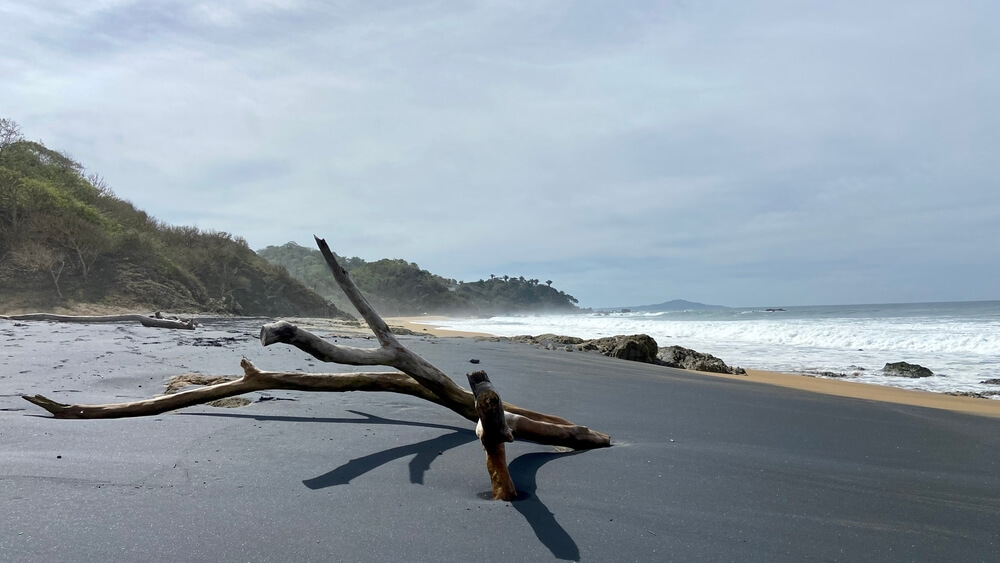 driftwood on an empty Playa Patzcuarito